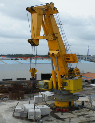 Het Hydraulische Gewricht Jib Crane Mounted On Offshore Platform van 250 KW